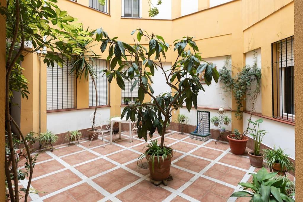 Mia Suite. Center Of Seville Exterior photo